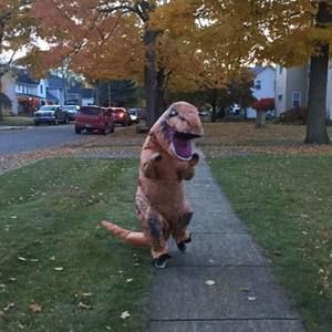 Meet your Posher, Casey